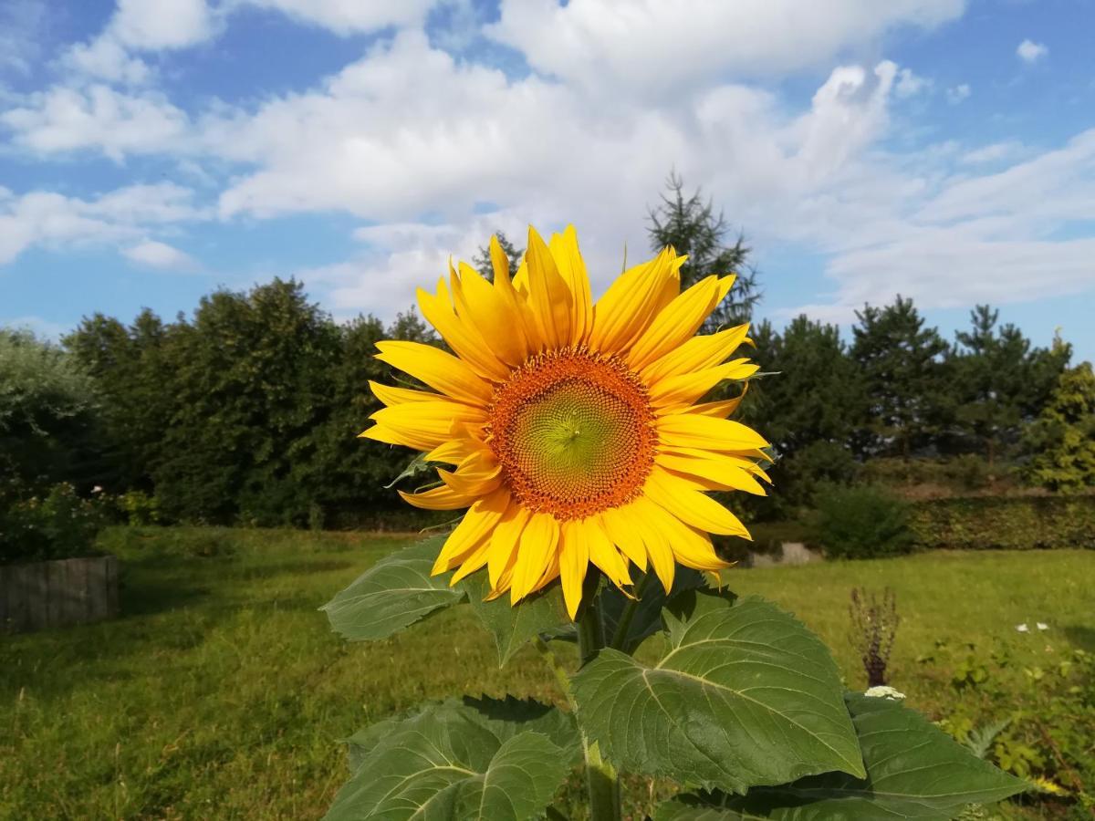 Carpe Diem Mont  Exteriör bild